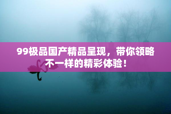 99极品国产精品呈现，带你领略不一样的精彩体验！