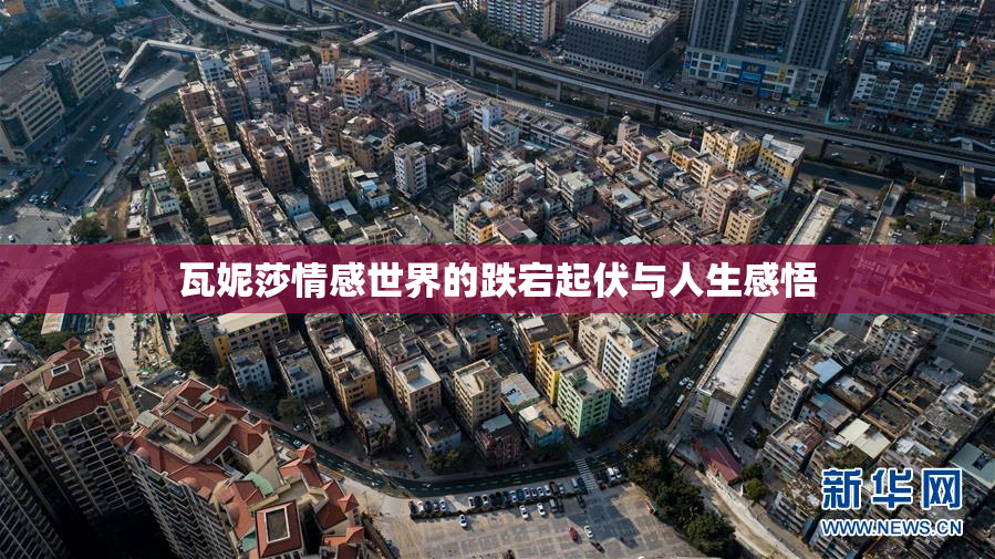 瓦妮莎情感世界的跌宕起伏与人生感悟