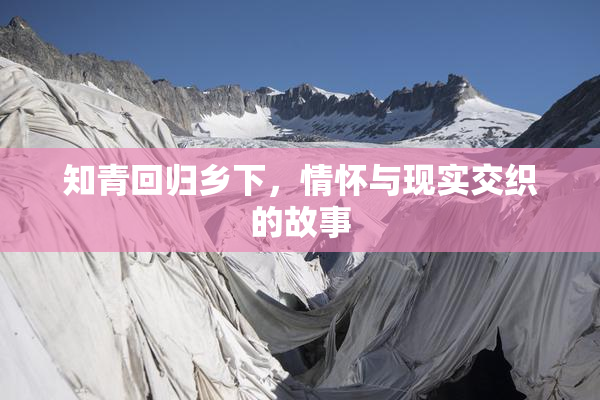 知青回归乡下，情怀与现实交织的故事