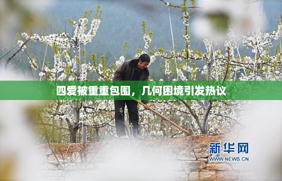 四爱被重重包围，几何困境引发热议