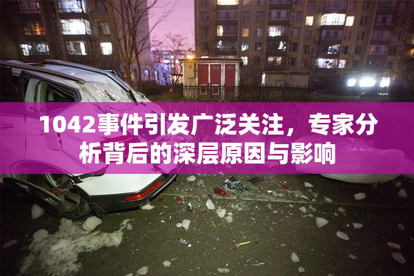 1042事件引发广泛关注，专家分析背后的深层原因与影响