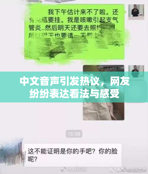中文音声引发热议，网友纷纷表达看法与感受