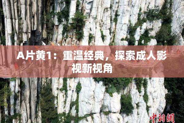 A片黄1：重温经典，探索成人影视新视角