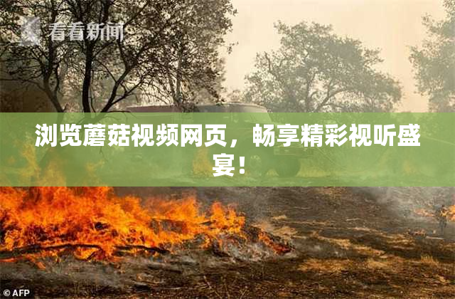 浏览蘑菇视频网页，畅享精彩视听盛宴！