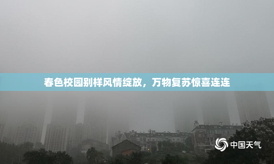 春色校园别样风情绽放，万物复苏惊喜连连