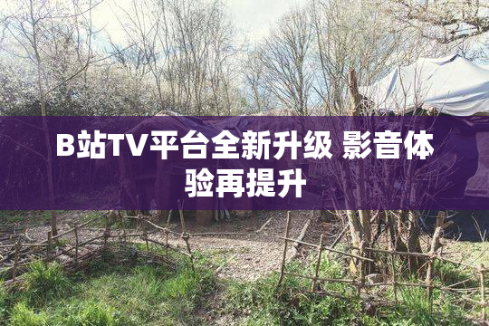 B站TV平台全新升级 影音体验再提升