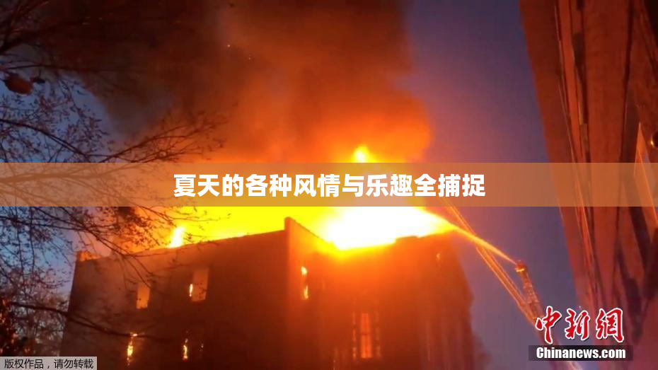 夏天的各种风情与乐趣全捕捉