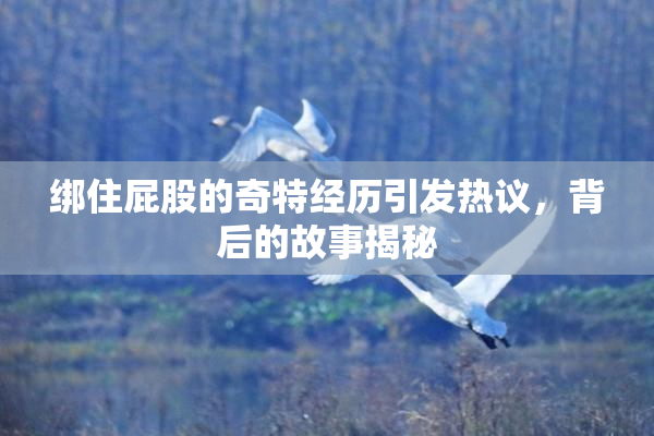 绑住屁股的奇特经历引发热议，背后的故事揭秘