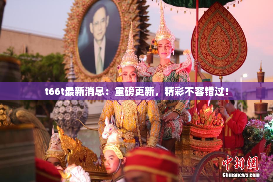 t66t最新消息：重磅更新，精彩不容错过！