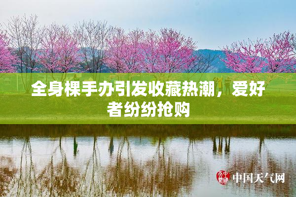 全身棵手办引发收藏热潮，爱好者纷纷抢购