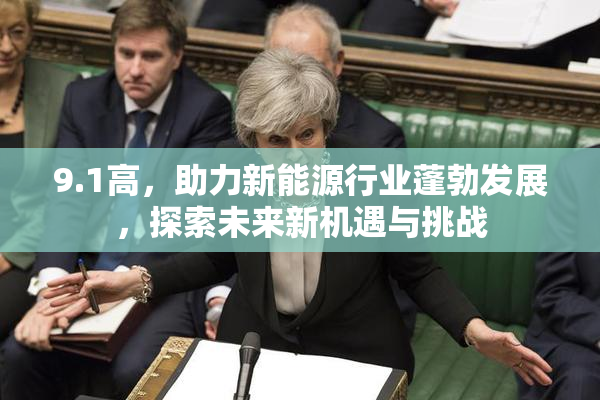 9.1高，助力新能源行业蓬勃发展，探索未来新机遇与挑战