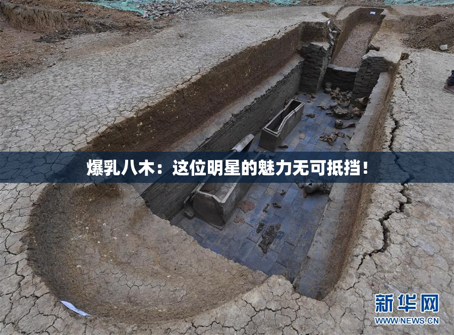 爆乳八木：这位明星的魅力无可抵挡！