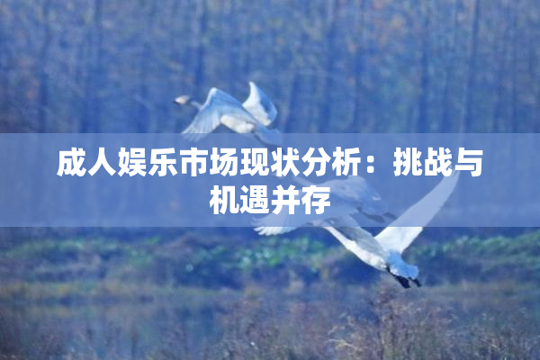 成人娱乐市场现状分析：挑战与机遇并存