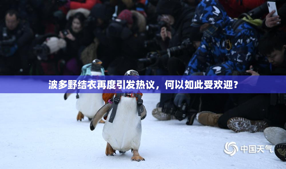 波多野结衣再度引发热议，何以如此受欢迎？