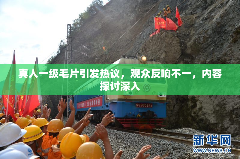 真人一级毛片引发热议，观众反响不一，内容探讨深入