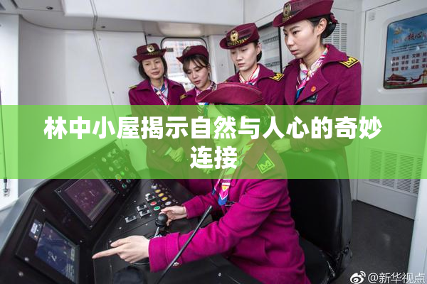 林中小屋揭示自然与人心的奇妙连接