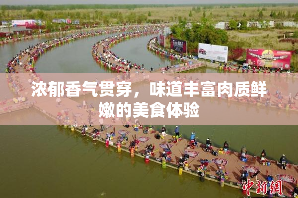 浓郁香气贯穿，味道丰富肉质鲜嫩的美食体验