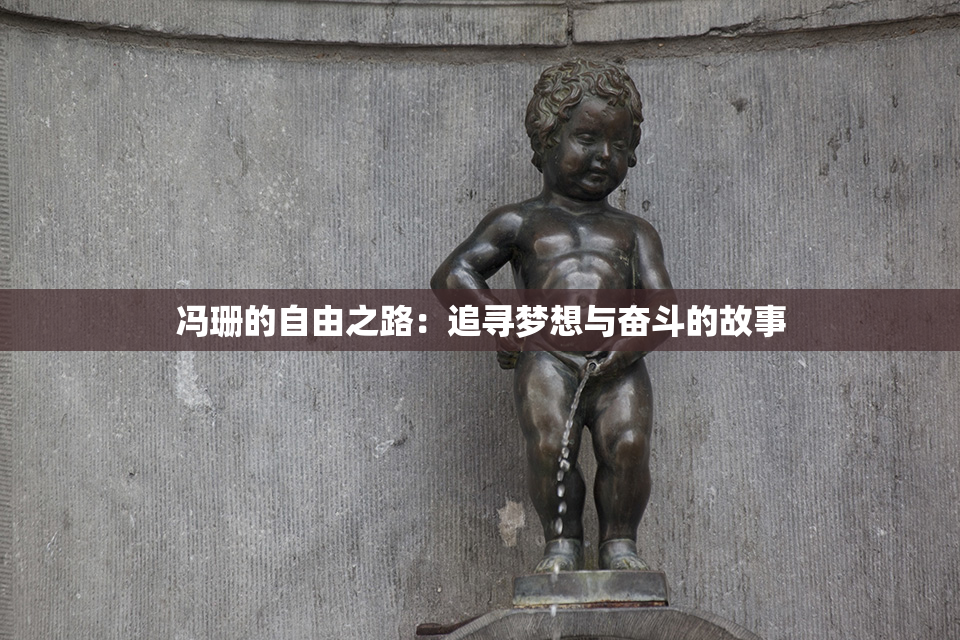 冯珊的自由之路：追寻梦想与奋斗的故事