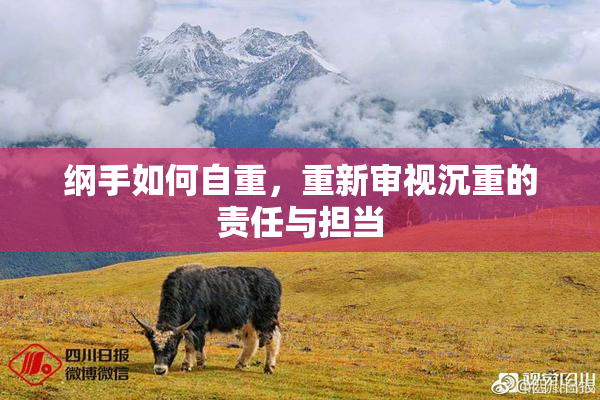 纲手如何自重，重新审视沉重的责任与担当