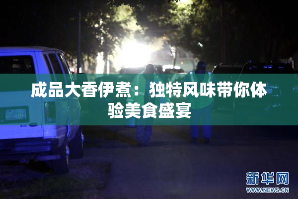 成品大香伊煮：独特风味带你体验美食盛宴