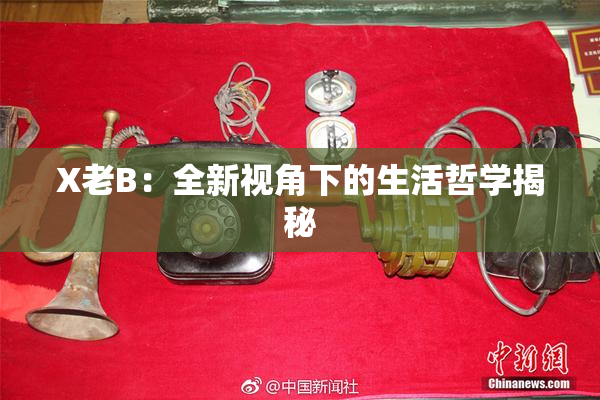 X老B：全新视角下的生活哲学揭秘