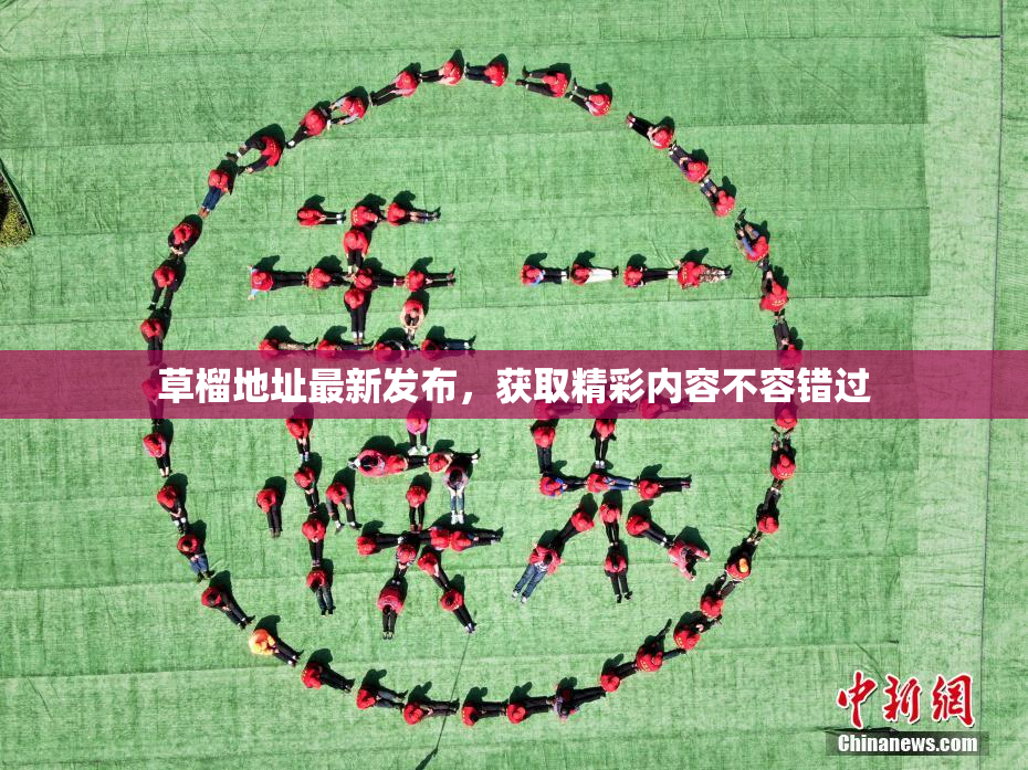 草榴地址最新发布，获取精彩内容不容错过