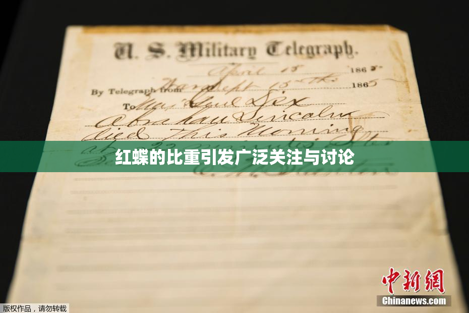 红蝶的比重引发广泛关注与讨论