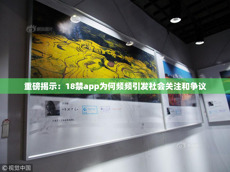 重磅揭示：18禁app为何频频引发社会关注和争议