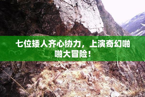 七位矮人齐心协力，上演奇幻啪啪大冒险！