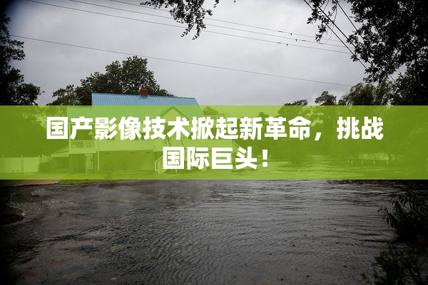 国产影像技术掀起新革命，挑战国际巨头！
