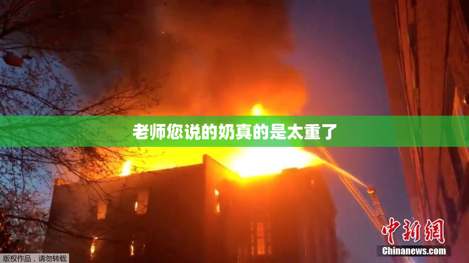 老师您说的奶真的是太重了