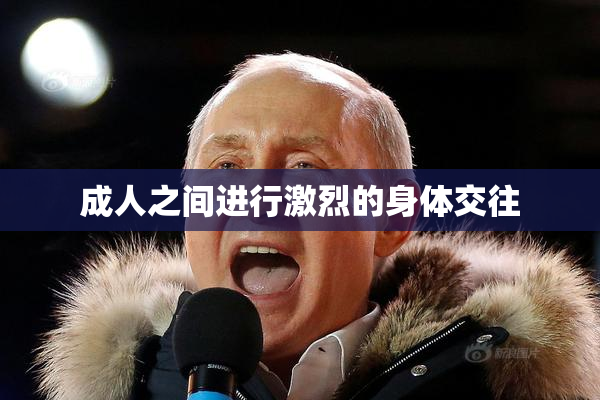 成人之间进行激烈的身体交往