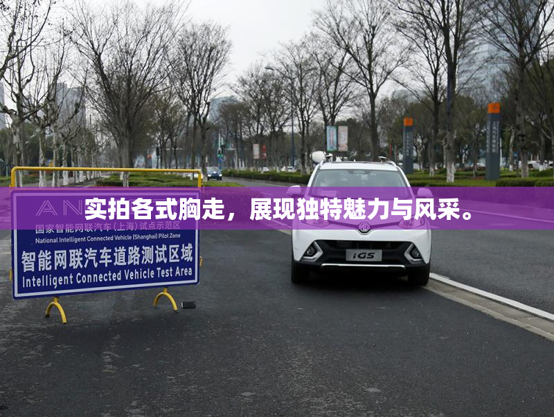 实拍各式胸走，展现独特魅力与风采。