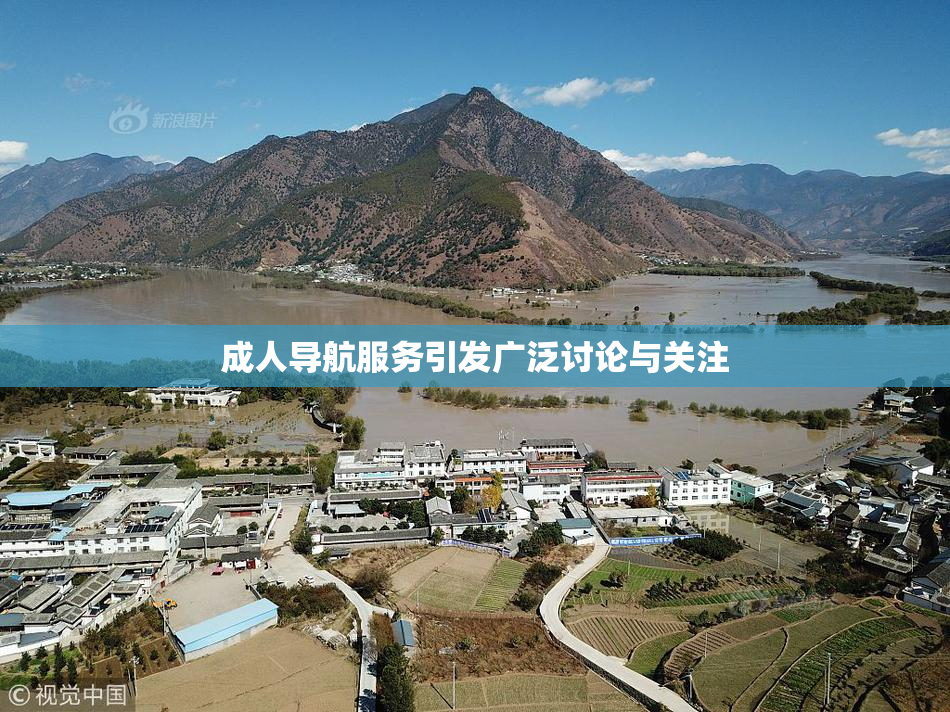 成人导航服务引发广泛讨论与关注