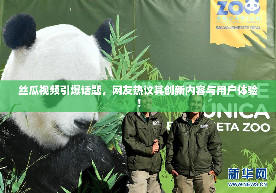 丝瓜视频引爆话题，网友热议其创新内容与用户体验！