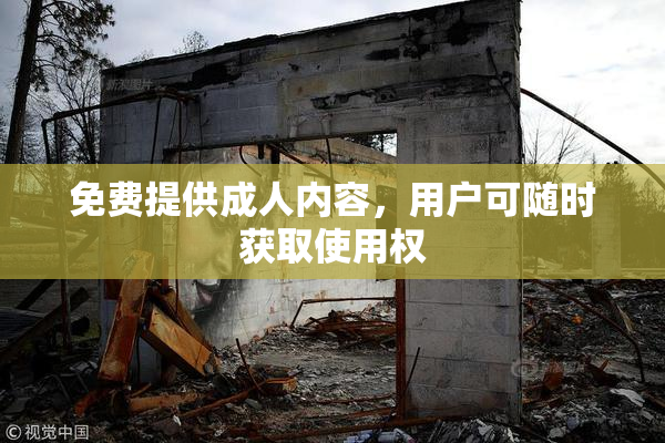 免费提供成人内容，用户可随时获取使用权