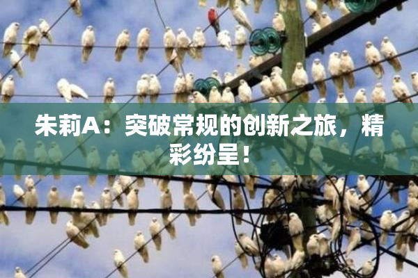 朱莉A：突破常规的创新之旅，精彩纷呈！