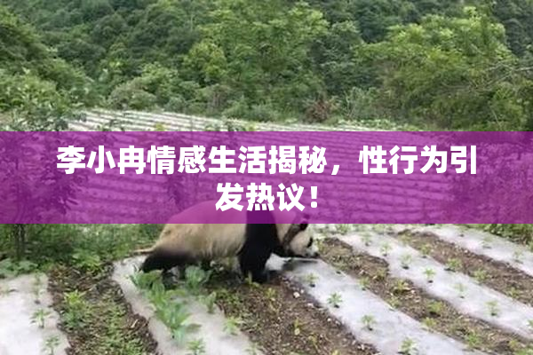 李小冉情感生活揭秘，性行为引发热议！
