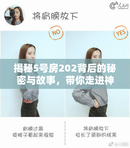 揭秘5号房202背后的秘密与故事，带你走进神秘空间！