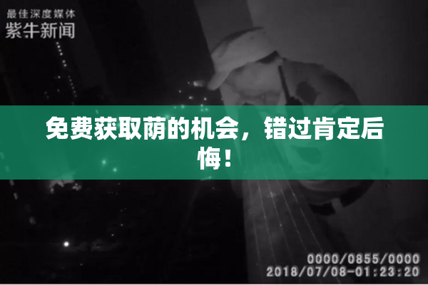 免费获取荫的机会，错过肯定后悔！
