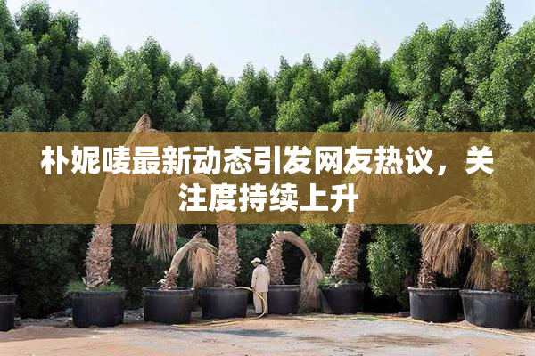 朴妮唛最新动态引发网友热议，关注度持续上升