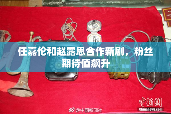 任嘉伦和赵露思合作新剧，粉丝期待值飙升