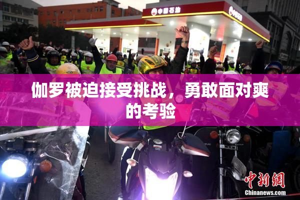 伽罗被迫接受挑战，勇敢面对爽的考验