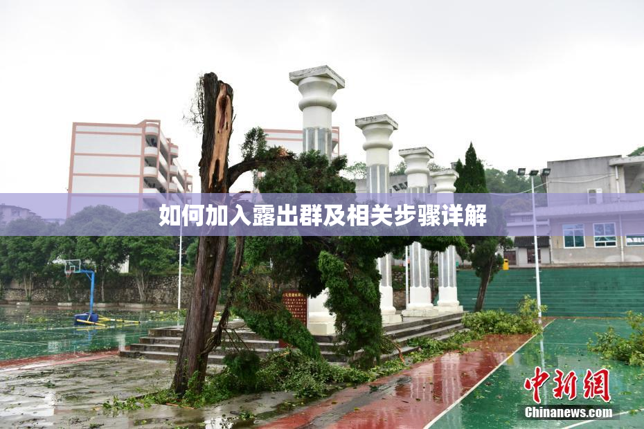 如何加入露出群及相关步骤详解