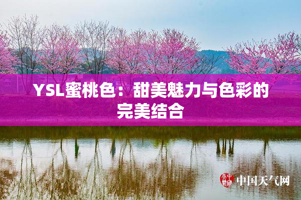 YSL蜜桃色：甜美魅力与色彩的完美结合