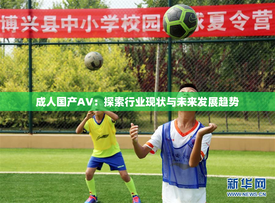 成人国产AV：探索行业现状与未来发展趋势
