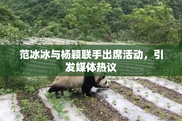 范冰冰与杨颖联手出席活动，引发媒体热议
