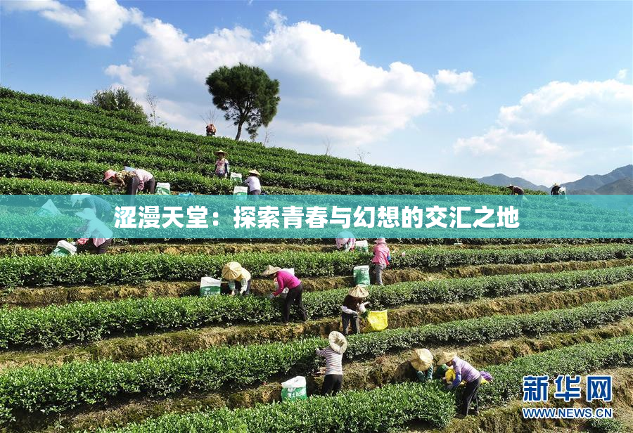 涩漫天堂：探索青春与幻想的交汇之地