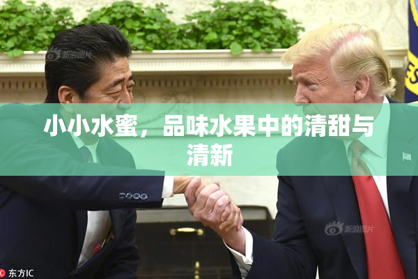小小水蜜，品味水果中的清甜与清新