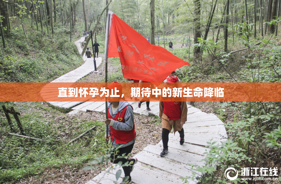 直到怀孕为止，期待中的新生命降临